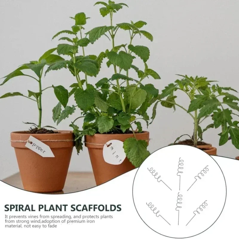 Plant Support Stake - Supporto per Piante Rampicanti, Pali a