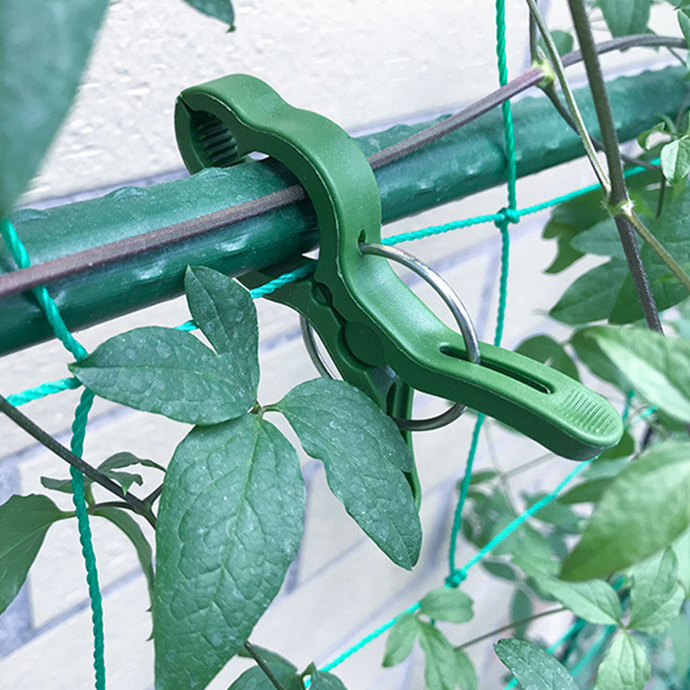 Plant Support Stake - 60 Pezzi Clip per Piante da