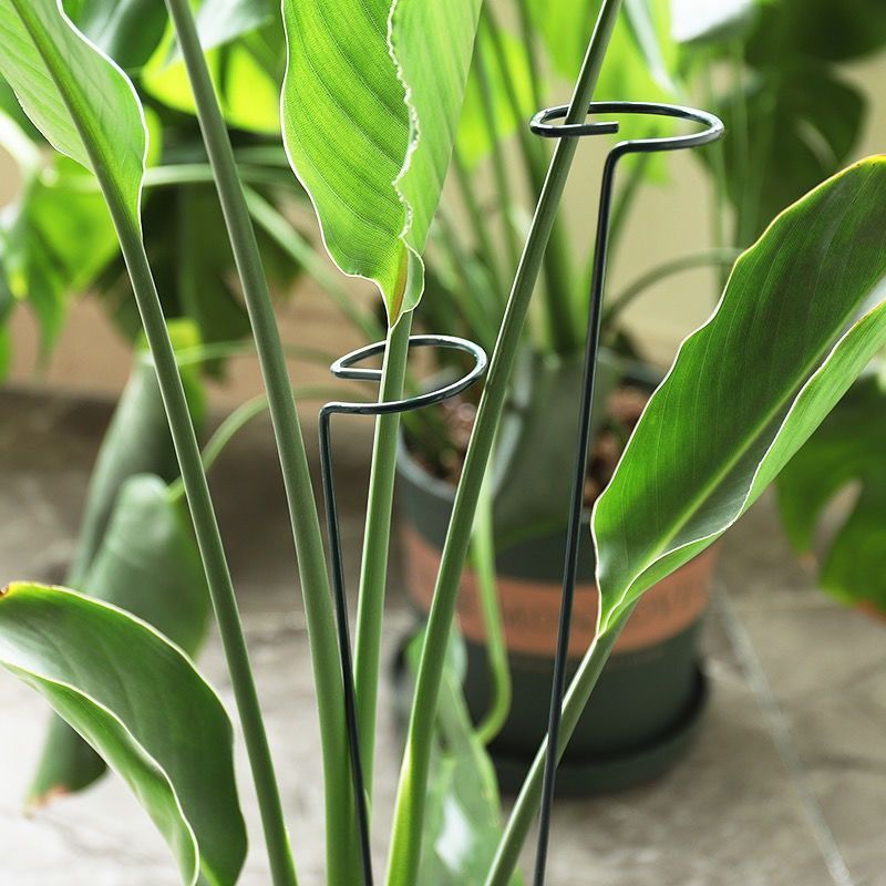 1/10pcs Supporto da giardino P - Gardening Tools Holder recensione e prezzo