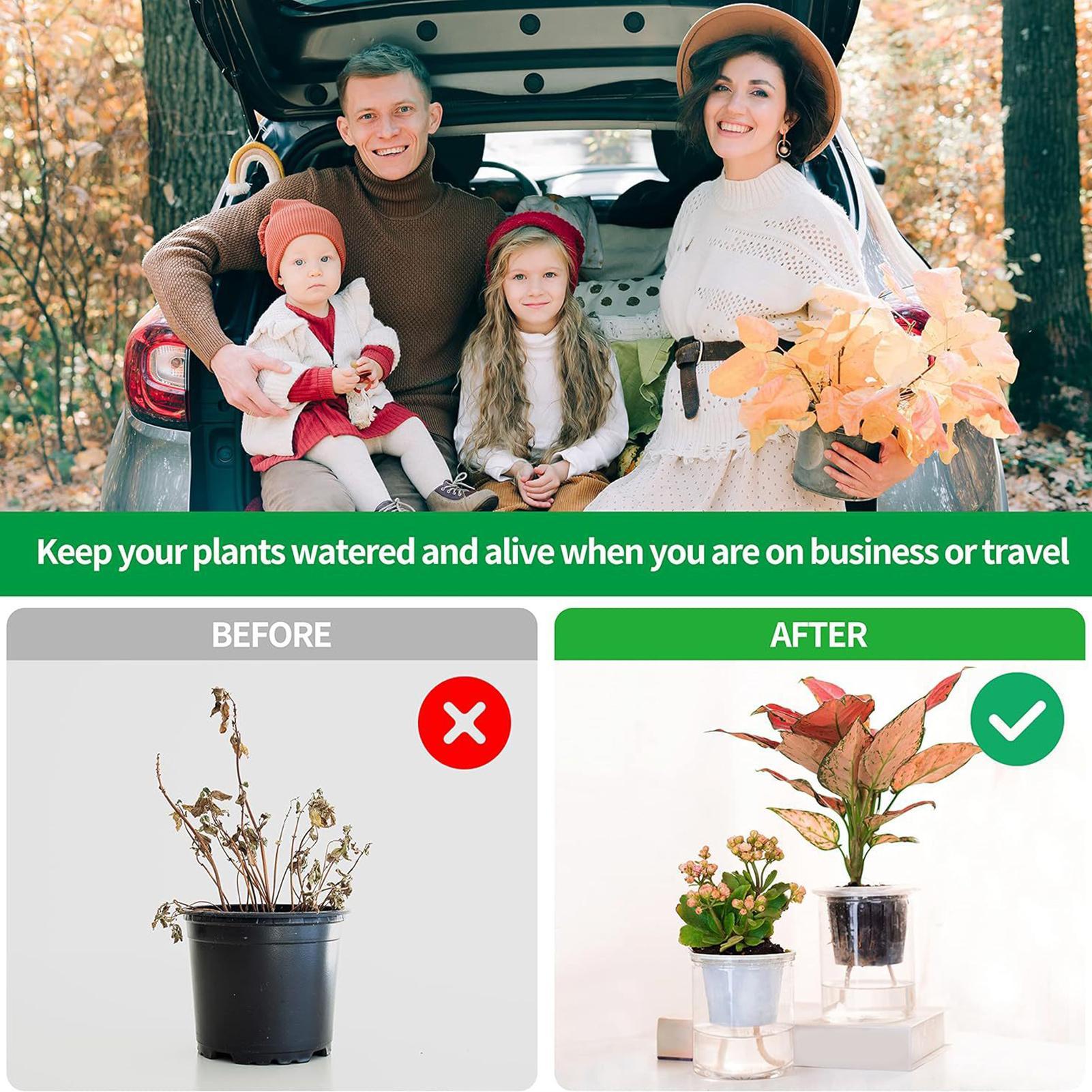 Corda per irrigazione automati - Self-Watering Planter recensione e prezzo