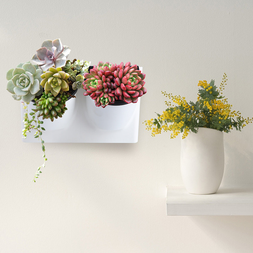 Vaso per Fiori Autoirrigante i - Self-Watering Planter recensione e prezzo