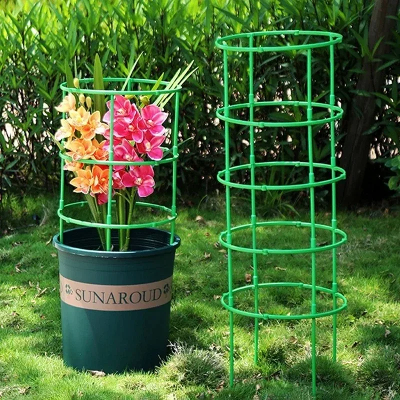 Gabbie per pomodori Traliccio  - Plant Support Stake recensione e prezzo