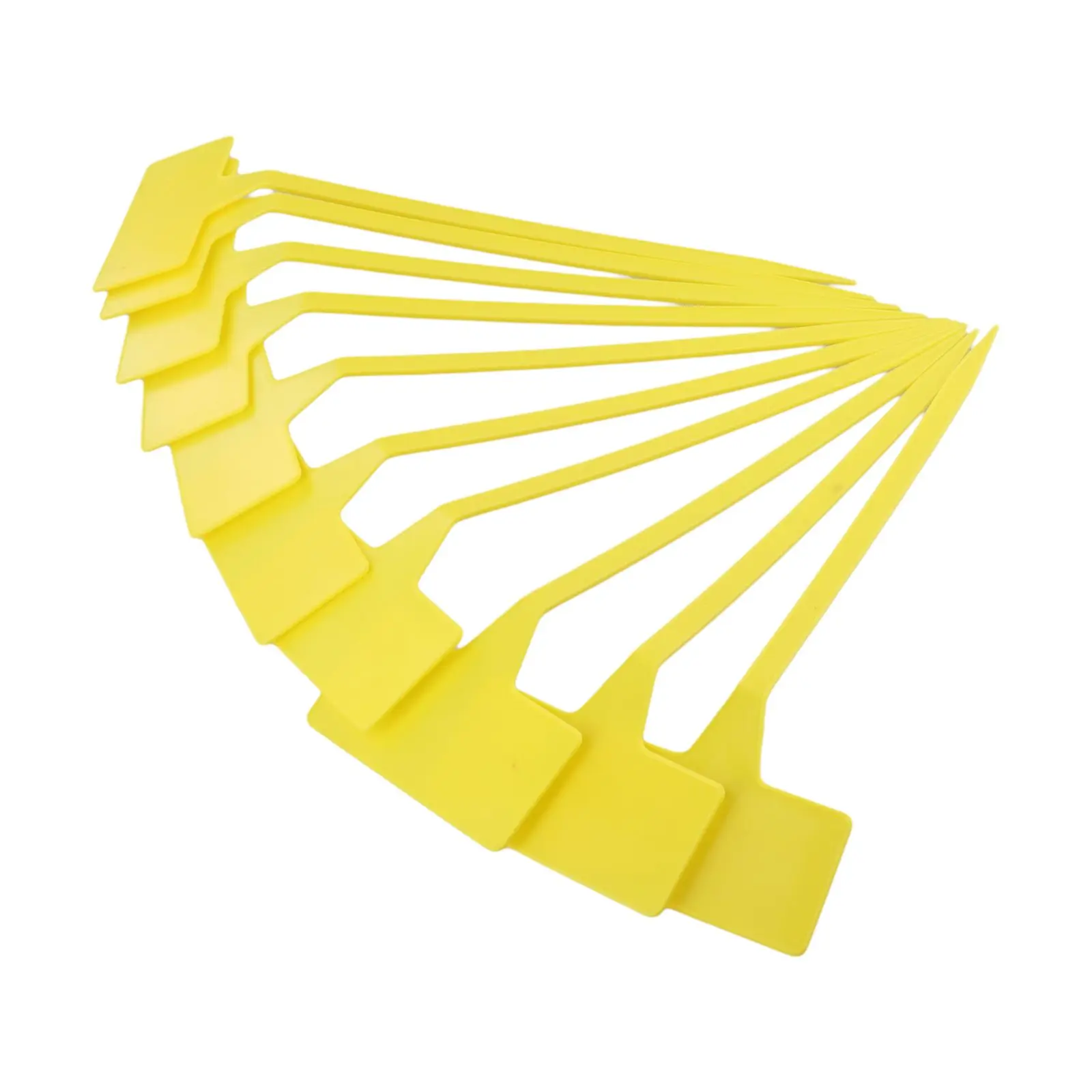 Etichette per piante domestich - Gardening Tools Usa recensione e prezzo
