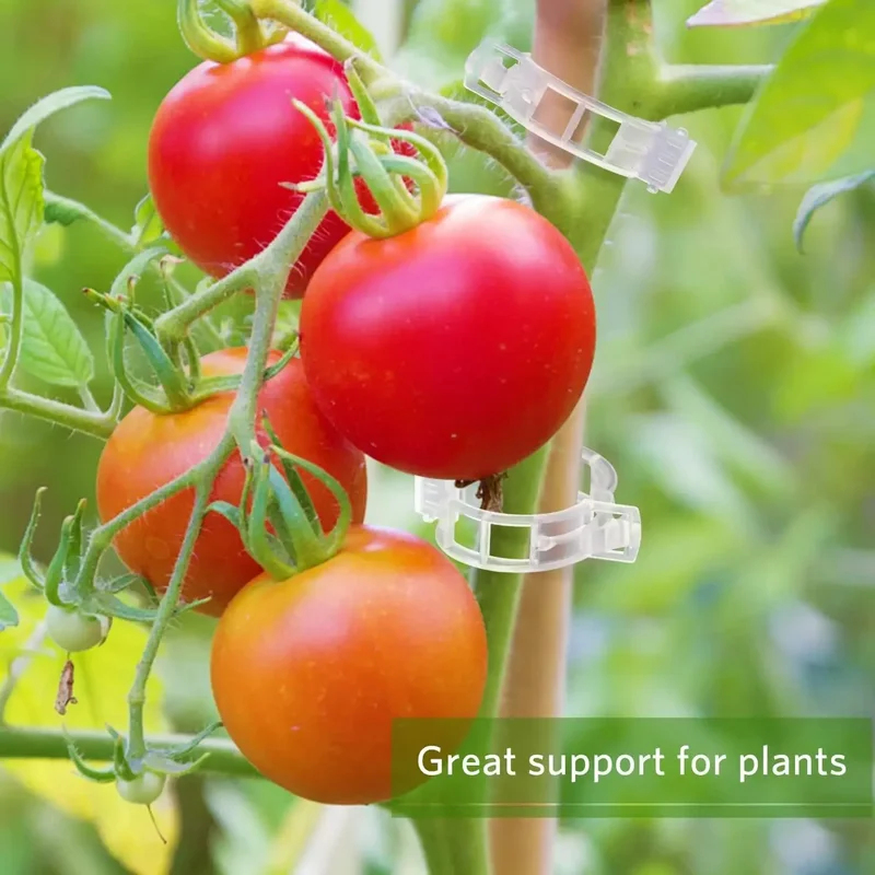 Clip di Supporto per Piante Ri - Gardening Tools Holder recensione e prezzo