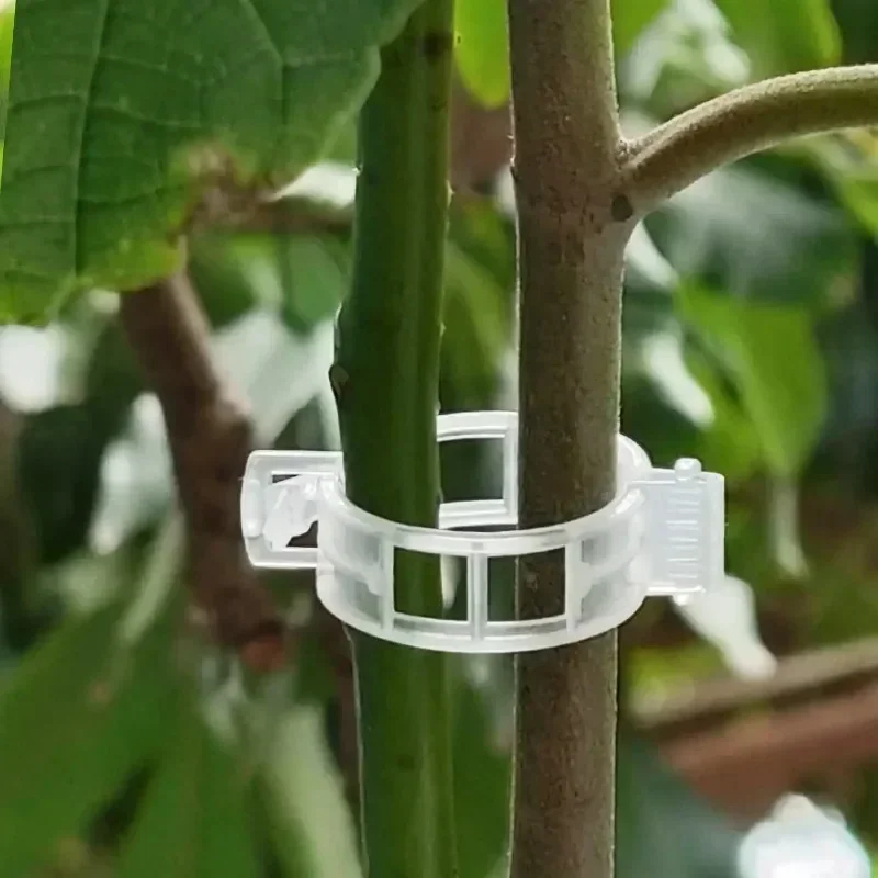 Clip di Supporto per Piante Ri - Gardening Tools Holder recensione e prezzo