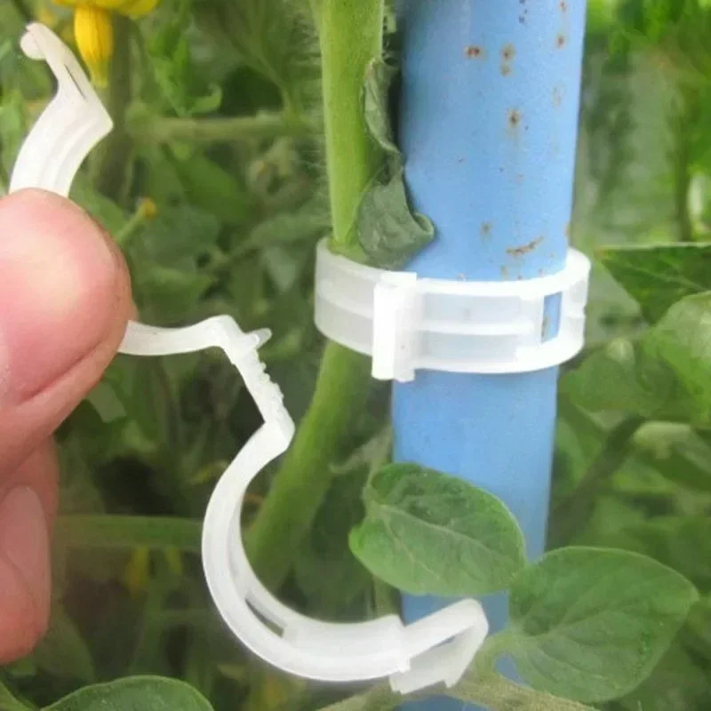 Clip di Supporto per Piante Ri - Gardening Tools Holder recensione e prezzo