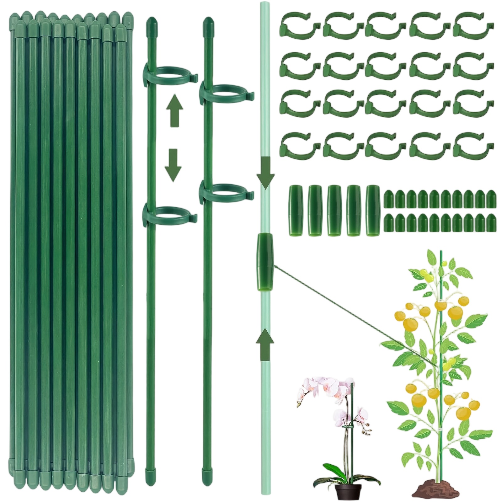 Supporti per Piante, Pali da G - Gardening Tools Holder recensione e prezzo