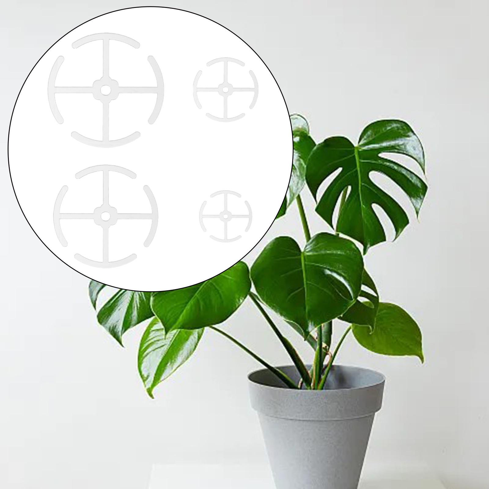 Supporti in Plastica per Steli - Gardening Tools Holder recensione e prezzo