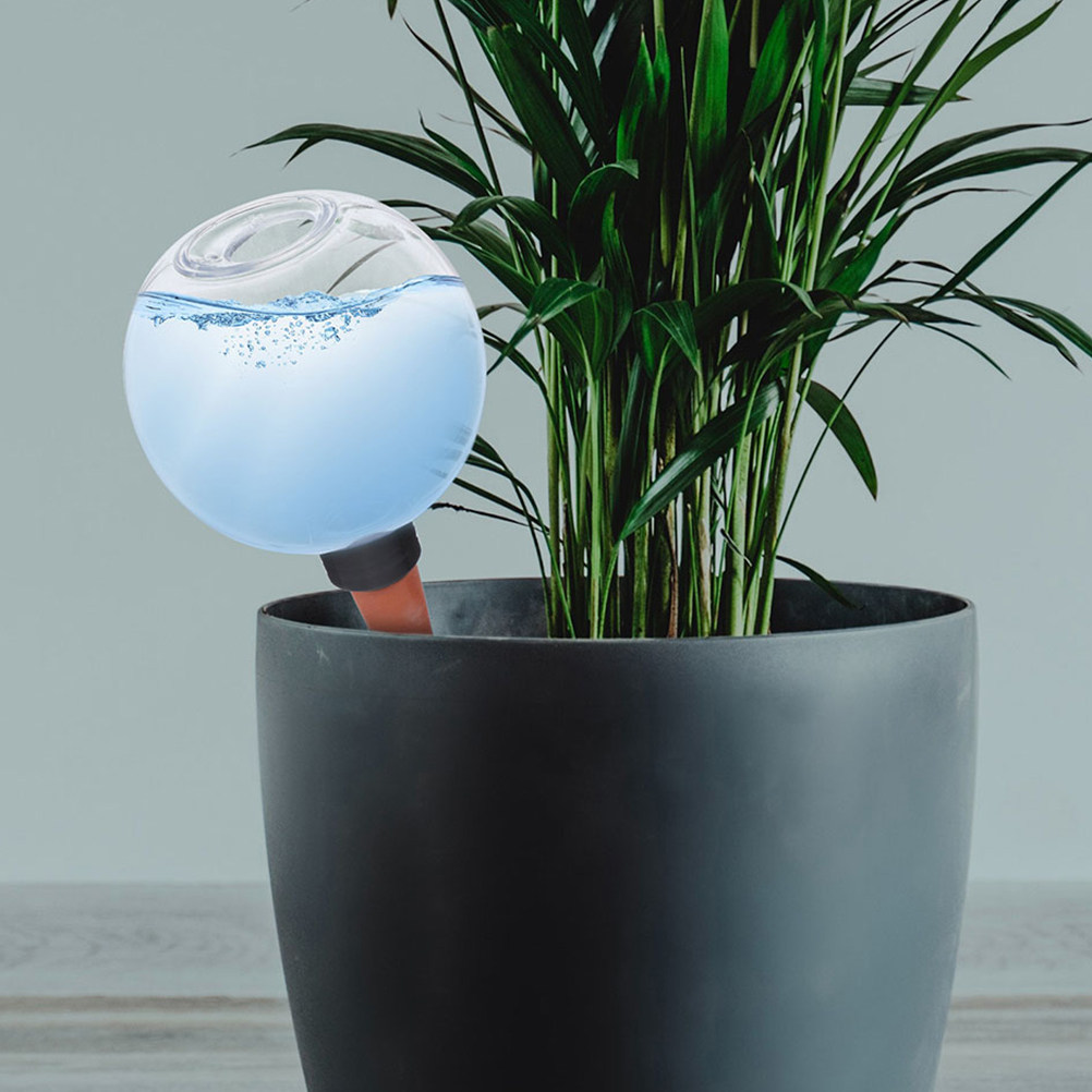 3 Pezzi di Globi per Irrigazio - Self-Watering Planter recensione e prezzo