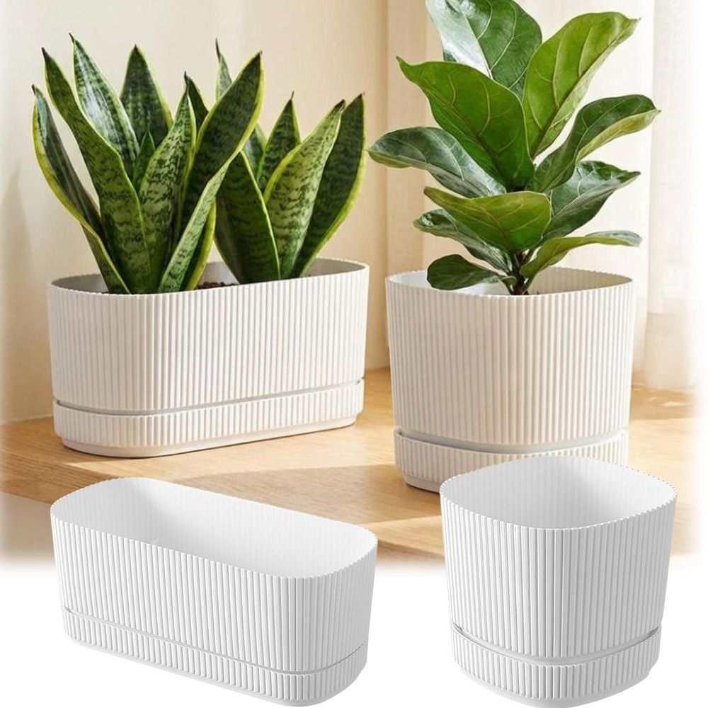 Vaso per Fiori Autoirrigante i - Self-Watering Planter recensione e prezzo