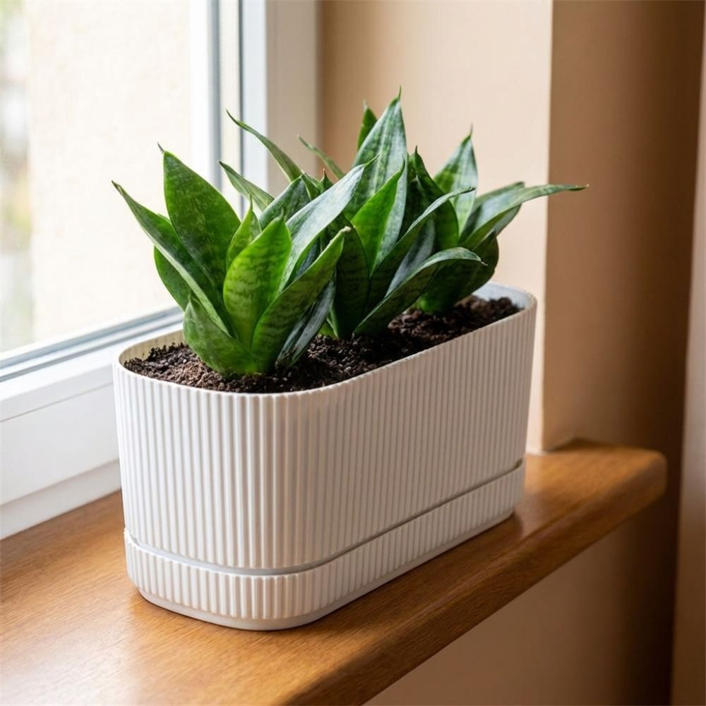 Vaso per Fiori Autoirrigante i - Self-Watering Planter recensione e prezzo