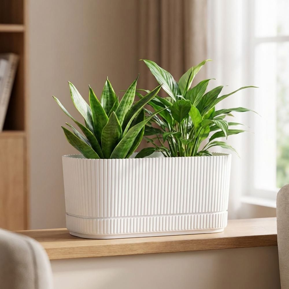 Vaso per Fiori Autoirrigante i - Self-Watering Planter recensione e prezzo