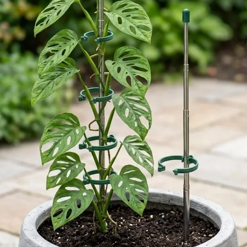 5/1 Pezzi Anelli di Supporto R - Gardening Tools Hoe recensione e prezzo