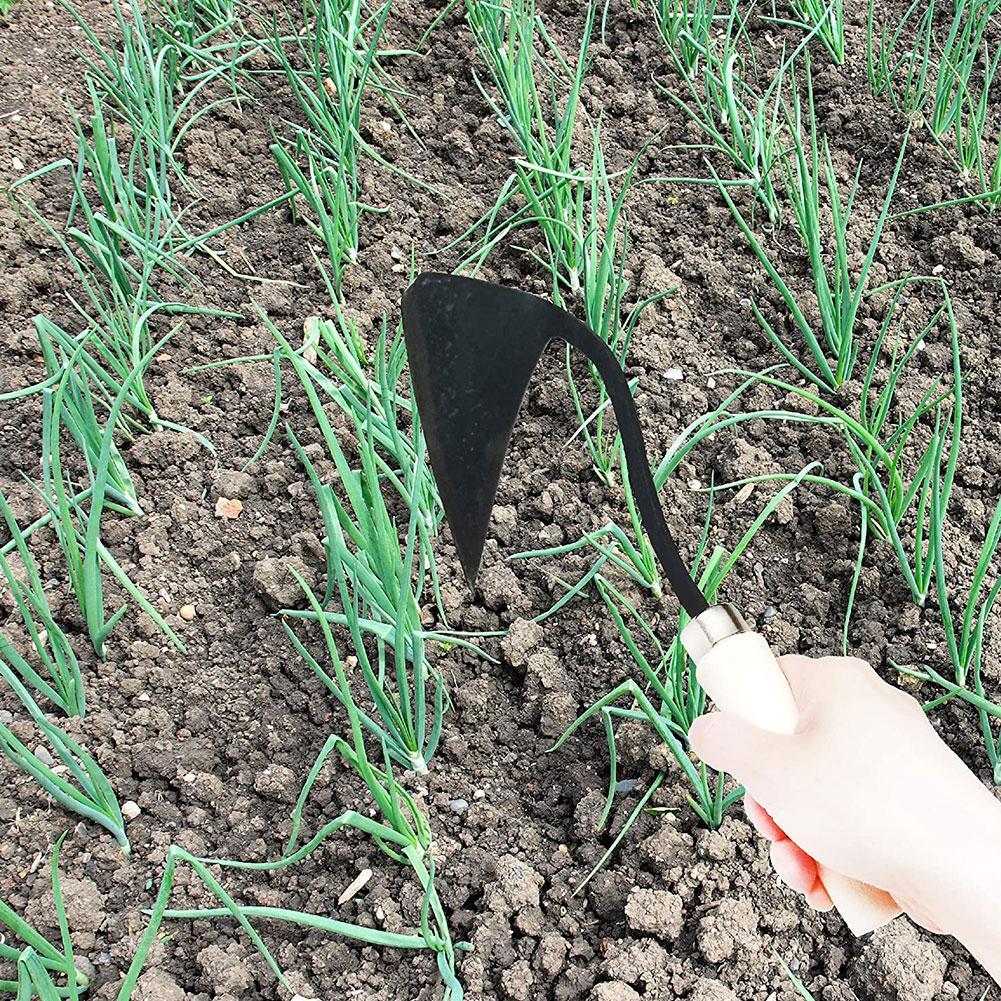 Attrezzi agricoli zappe triang - Gardening Tools Hoe recensione e prezzo