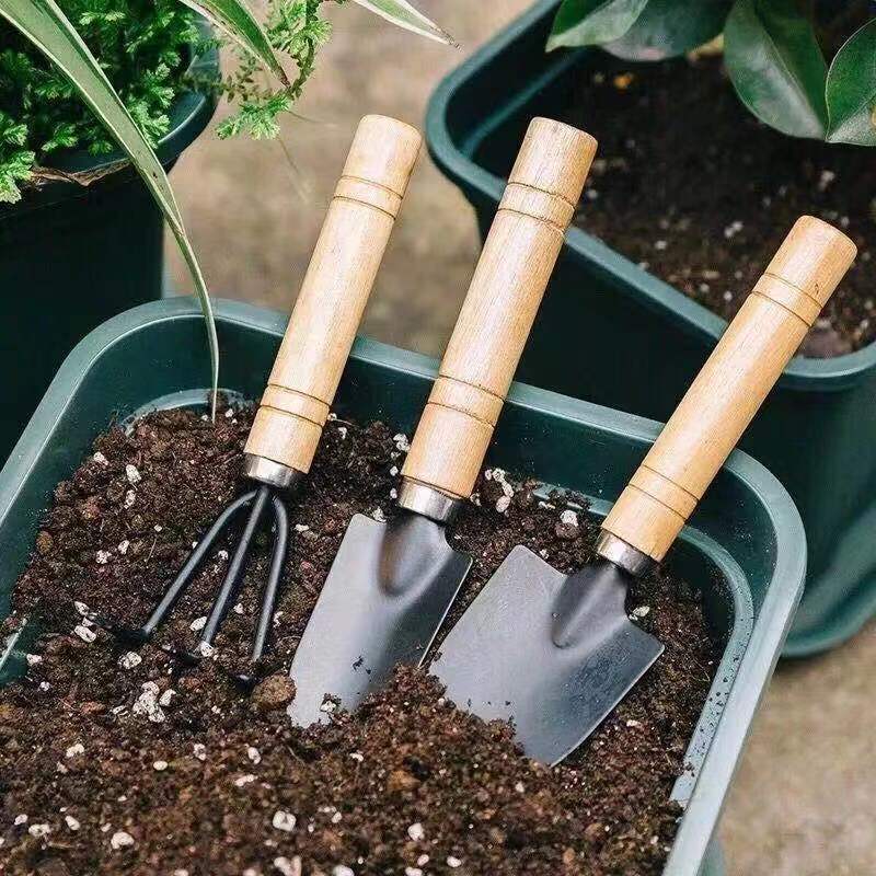3PC/1Set Mini Attrezzi da giar - Gardening Tools Rake recensione e prezzo