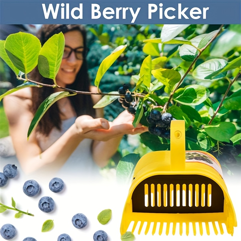 Raccoglitore di Mirtilli con I - Gardening Tools Rake recensione e prezzo