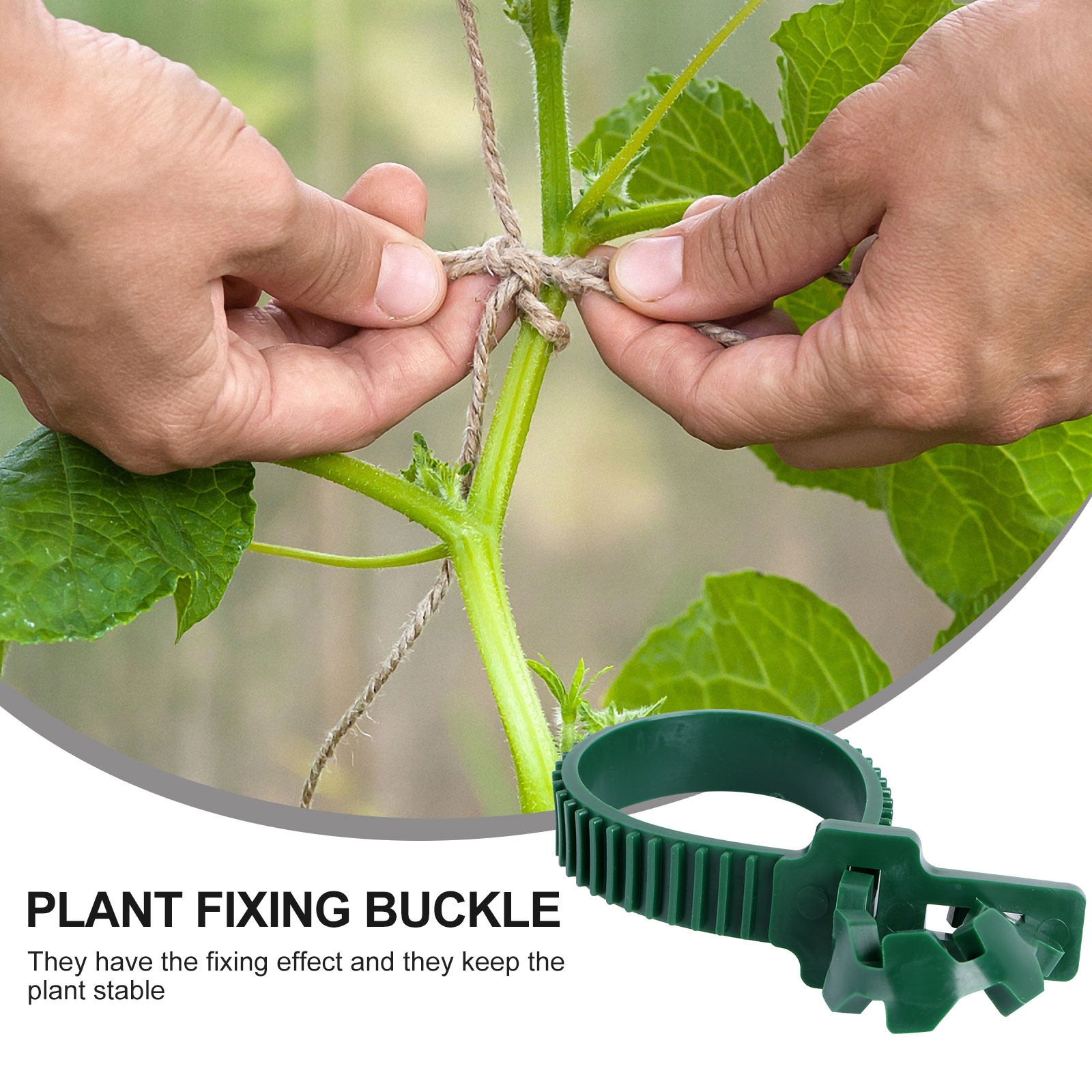 20 Pezzi di Clip di Fissaggio  - Plant Support Stake recensione e prezzo