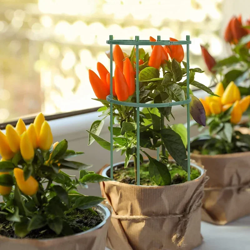 Supporto per piante in plastic - Gardening Tools Hoe recensione e prezzo