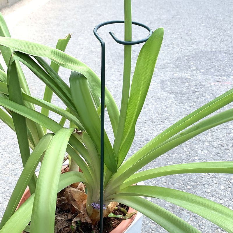 1-10 pezzi in metallo a stelo  - Gardening Tools Holder recensione e prezzo