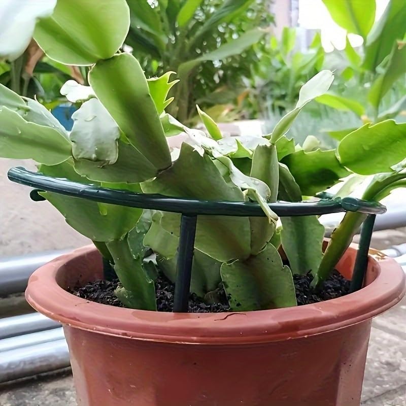 30-1 Pezzi Supporto per Piante - Gardening Tools Hoe recensione e prezzo