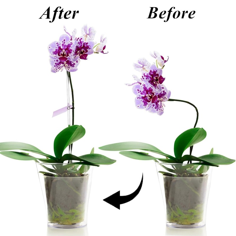 Supporti per Fiori Riutilizzab - Plant Support Stake recensione e prezzo
