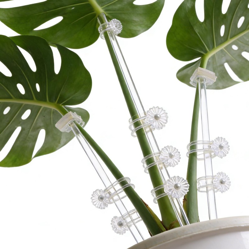 Supporti per Fiori Riutilizzab - Plant Support Stake recensione e prezzo