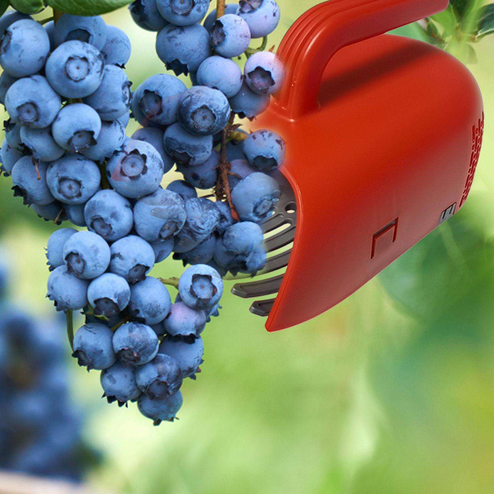 Raccoglitore di Bacche con Man - Gardening Tools Rake recensione e prezzo