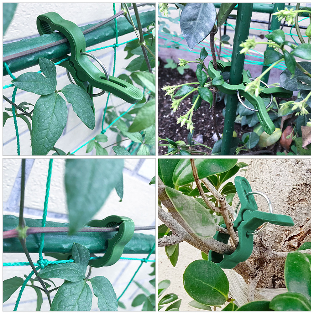 60 Pezzi Clip per Piante da Gi - Plant Support Stake recensione e prezzo