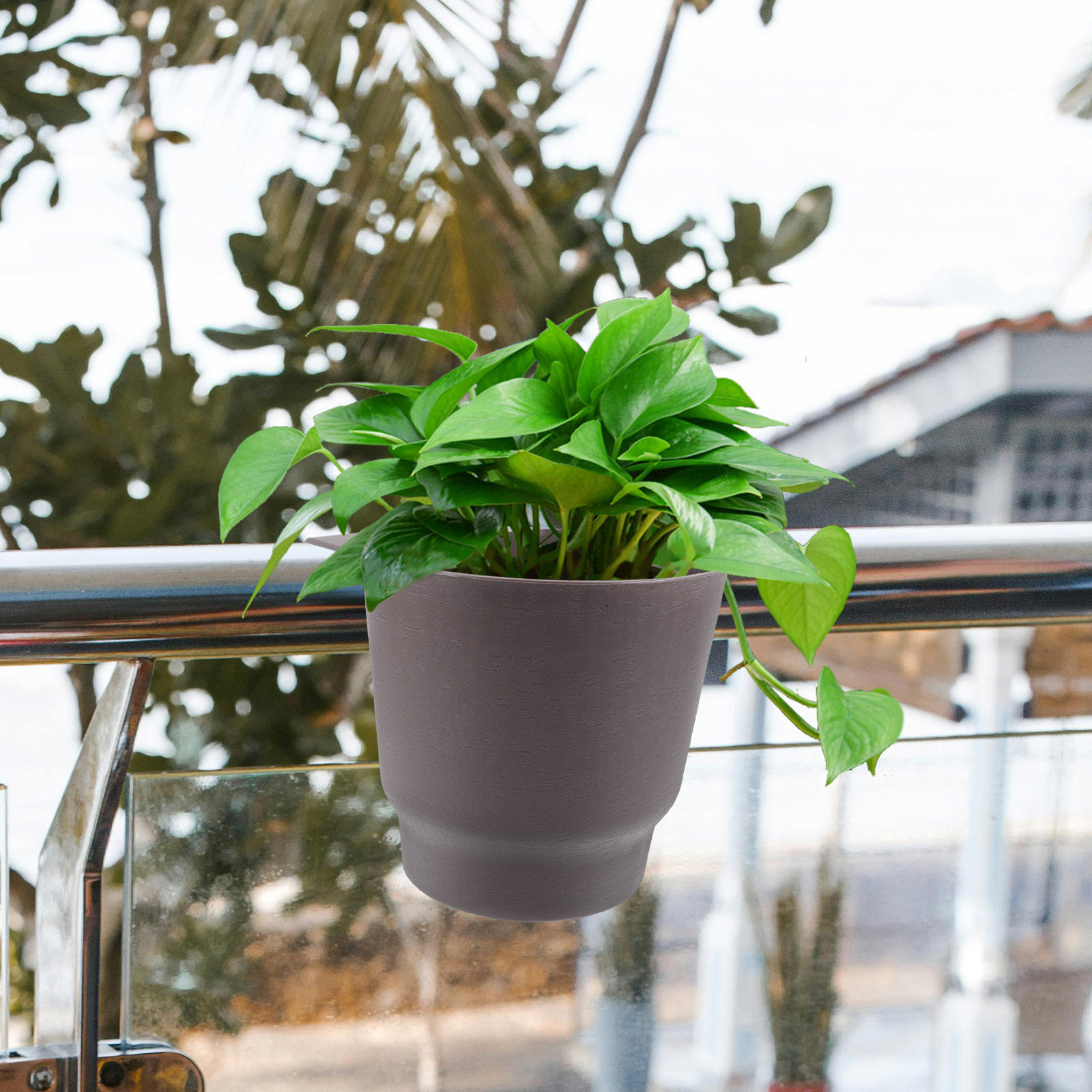 Vaso per Fiori in Plastica Aut - Self-Watering Planter recensione e prezzo