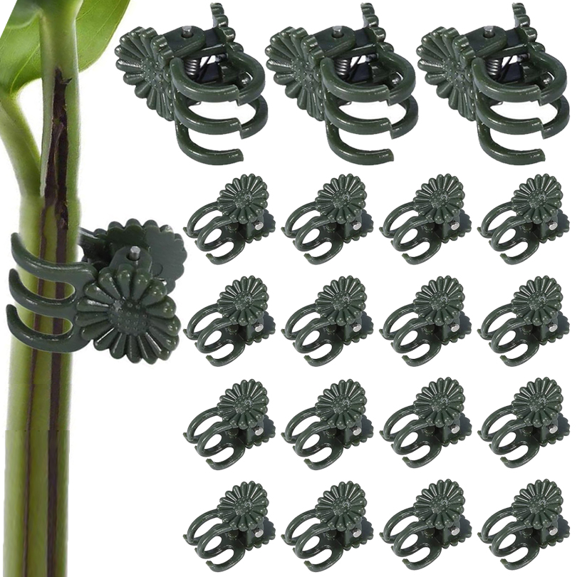 20/50/100 pz Clip per piante m - Gardening Tools Usa recensione e prezzo