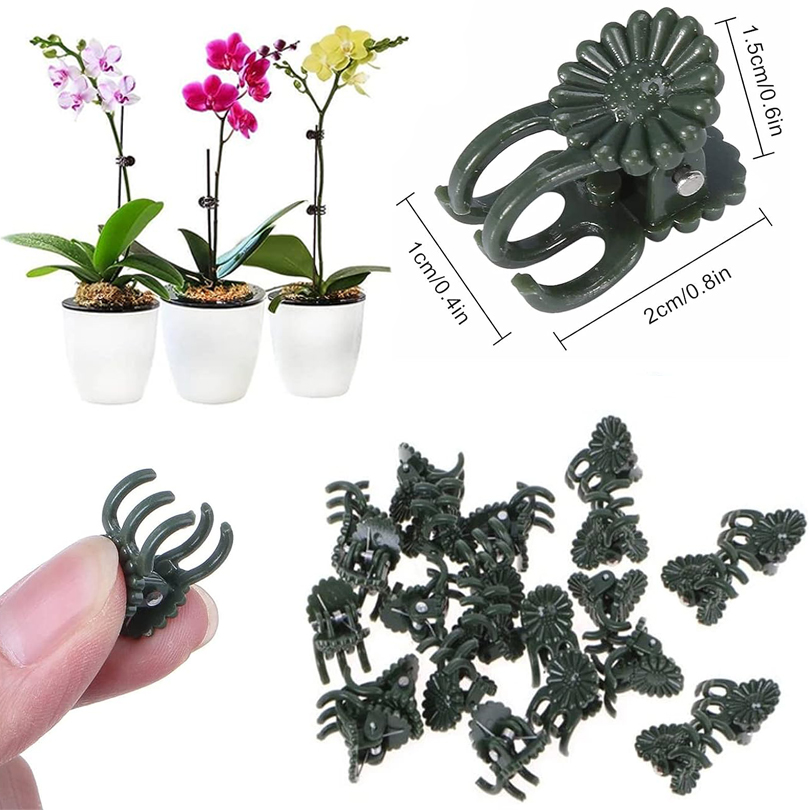 20/50/100 pz Clip per piante m - Gardening Tools Usa recensione e prezzo