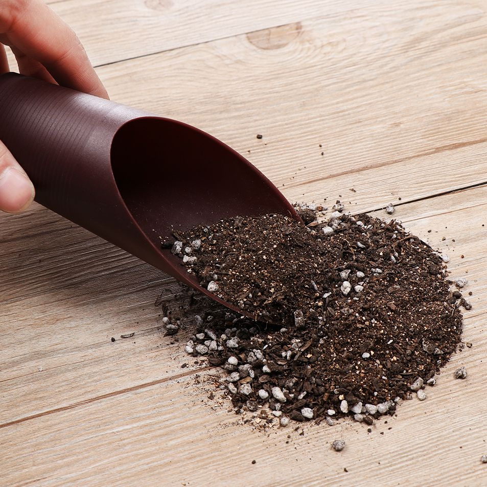 1 pz plastica terreno pala taz - Gardening Tools Hoe recensione e prezzo