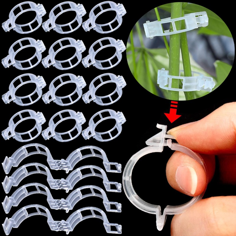 300/50 Pezzi Clip di Supporto  - Gardening Tools Holder recensione e prezzo