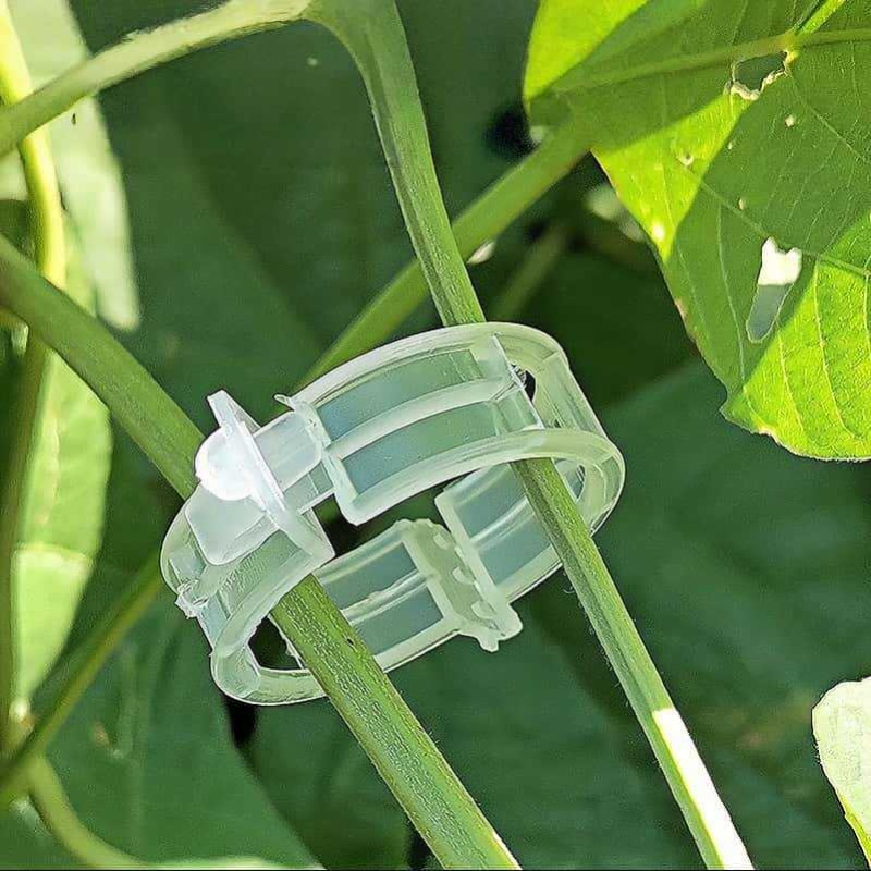 300/50 Pezzi Clip di Supporto  - Gardening Tools Holder recensione e prezzo