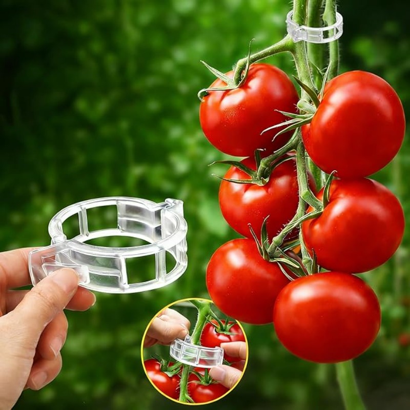 300/50 Pezzi Clip di Supporto  - Gardening Tools Holder recensione e prezzo